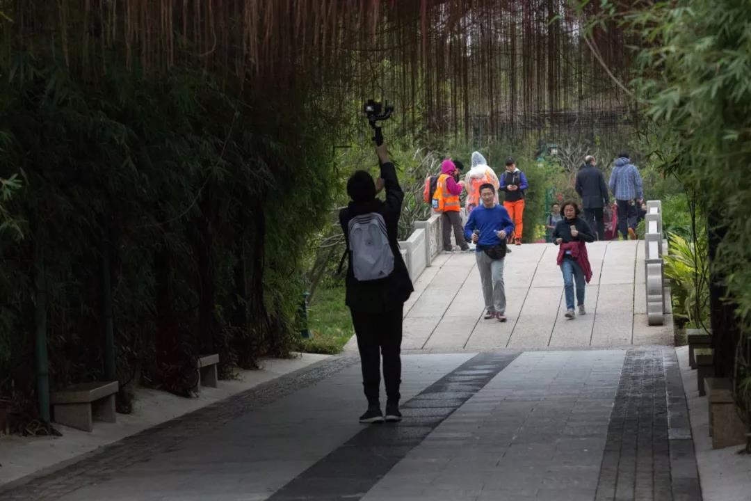 华附国际部日慈善跑